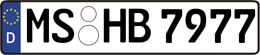 MS-HB7977