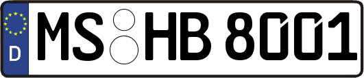 MS-HB8001