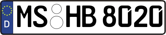 MS-HB8020