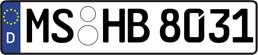 MS-HB8031