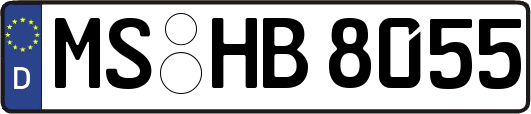MS-HB8055