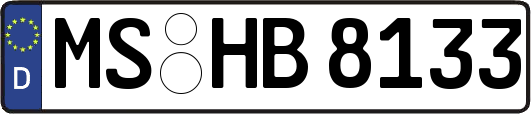 MS-HB8133