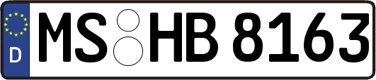 MS-HB8163