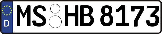 MS-HB8173