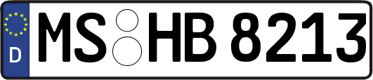 MS-HB8213