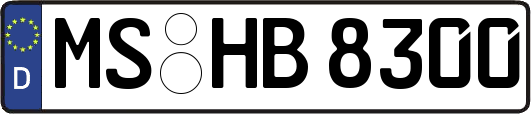 MS-HB8300
