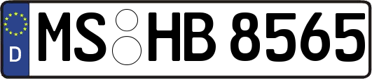 MS-HB8565
