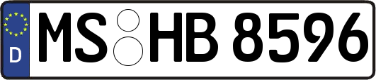 MS-HB8596