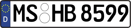 MS-HB8599