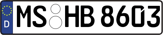 MS-HB8603
