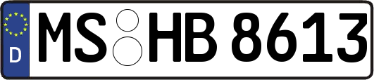 MS-HB8613