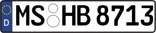 MS-HB8713