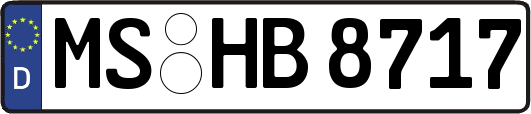 MS-HB8717