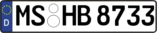 MS-HB8733