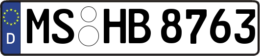 MS-HB8763