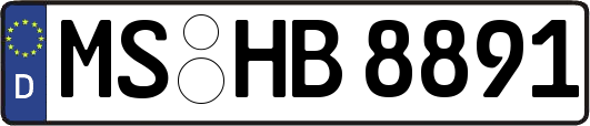 MS-HB8891