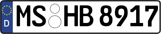 MS-HB8917