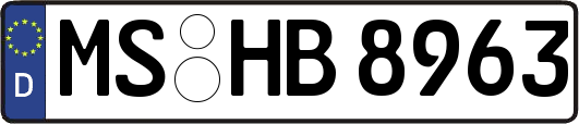 MS-HB8963