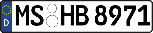MS-HB8971