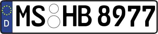 MS-HB8977