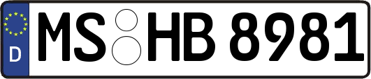 MS-HB8981