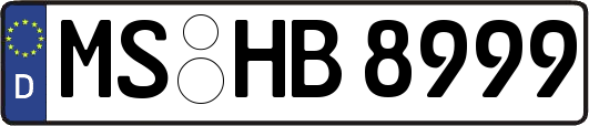 MS-HB8999
