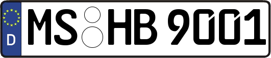 MS-HB9001