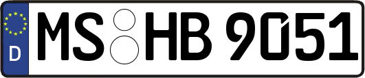 MS-HB9051