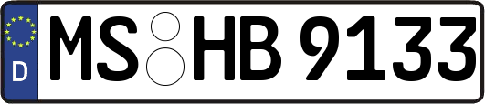 MS-HB9133