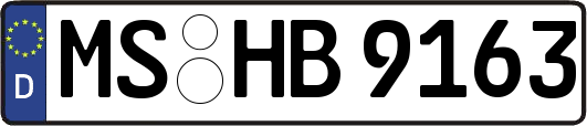 MS-HB9163