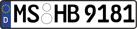 MS-HB9181