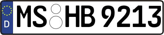 MS-HB9213