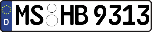 MS-HB9313