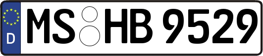 MS-HB9529