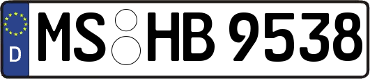 MS-HB9538
