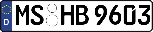 MS-HB9603