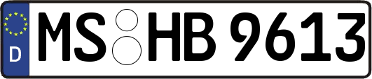 MS-HB9613