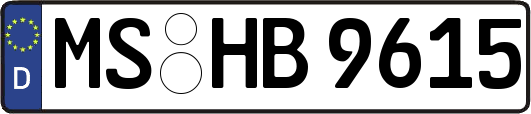 MS-HB9615
