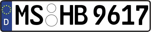MS-HB9617