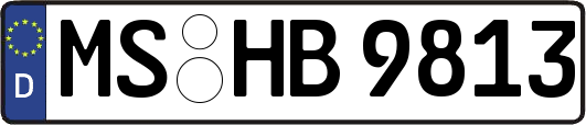 MS-HB9813