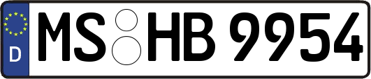 MS-HB9954
