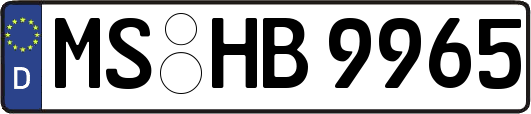 MS-HB9965