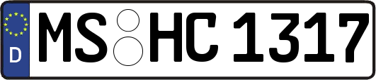MS-HC1317