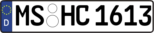 MS-HC1613