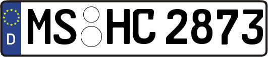 MS-HC2873