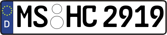 MS-HC2919