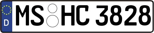 MS-HC3828