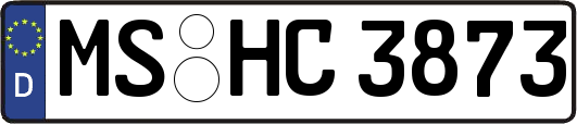 MS-HC3873