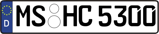 MS-HC5300
