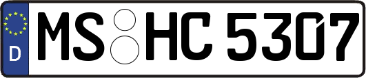 MS-HC5307